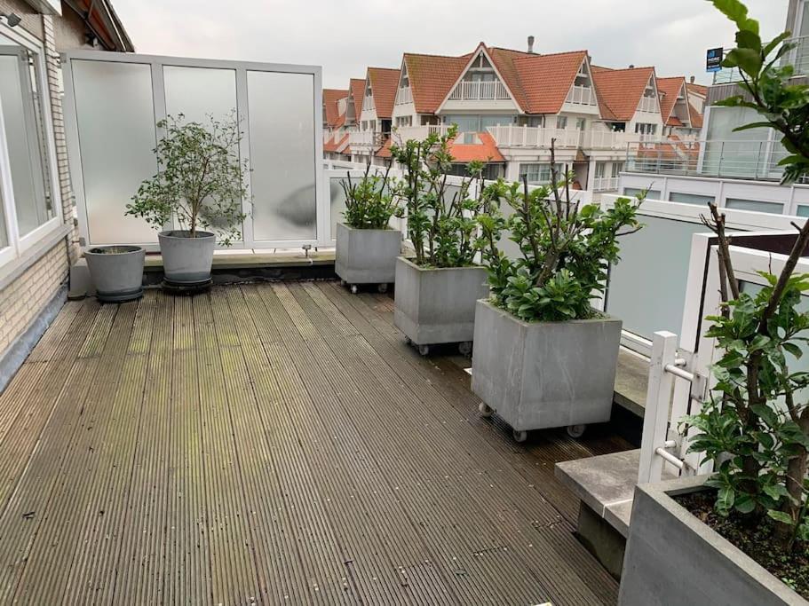 Zoute Penthouse Apartment นอคเคอ-เฮสท์ ภายนอก รูปภาพ